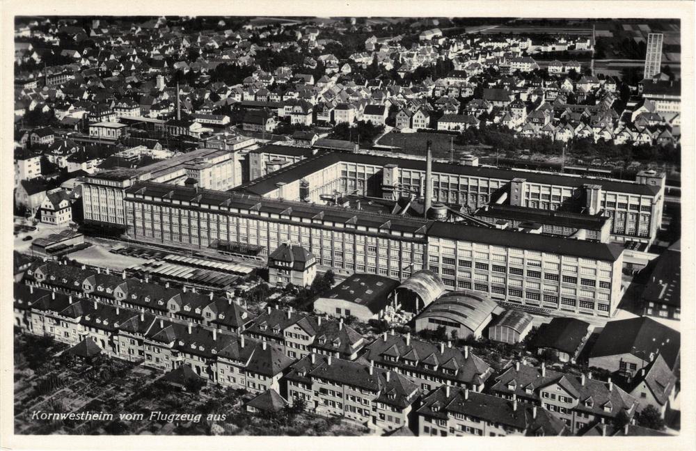 Salamander Kornwestheim