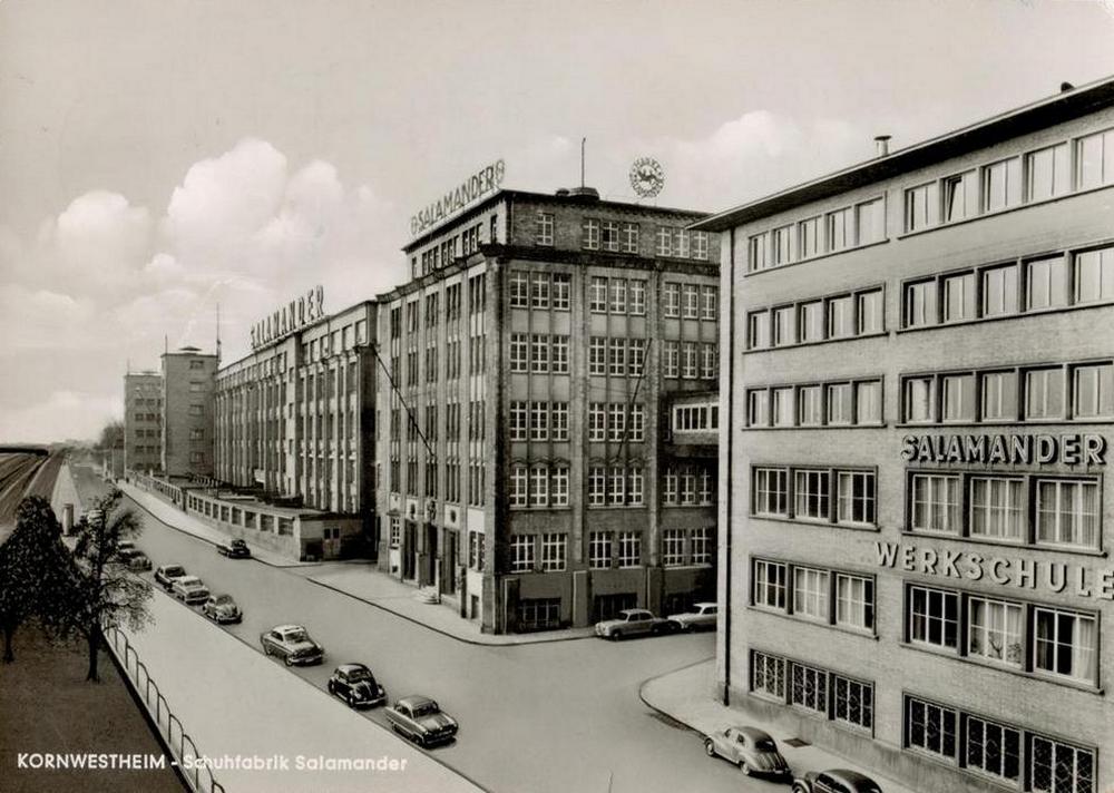 Salamander Kornwestheim