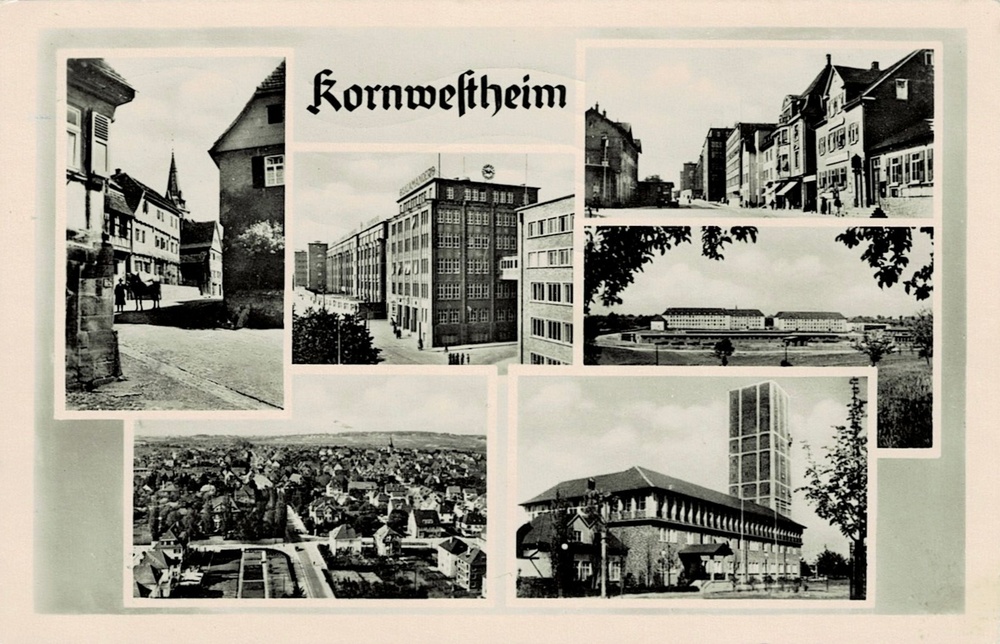 Kornwestheim Salamander