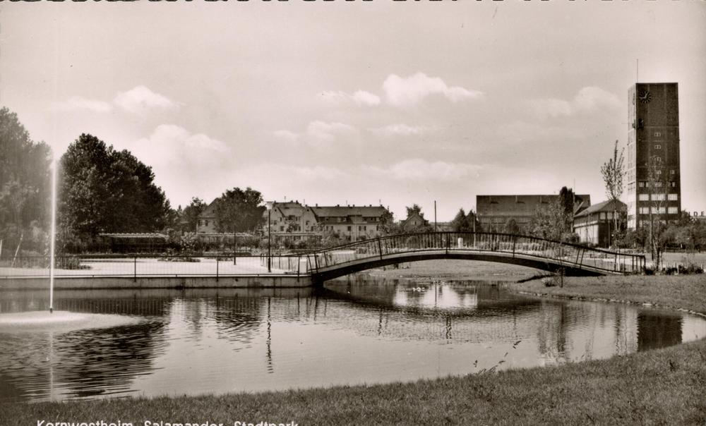 Stadtpark Salamander
